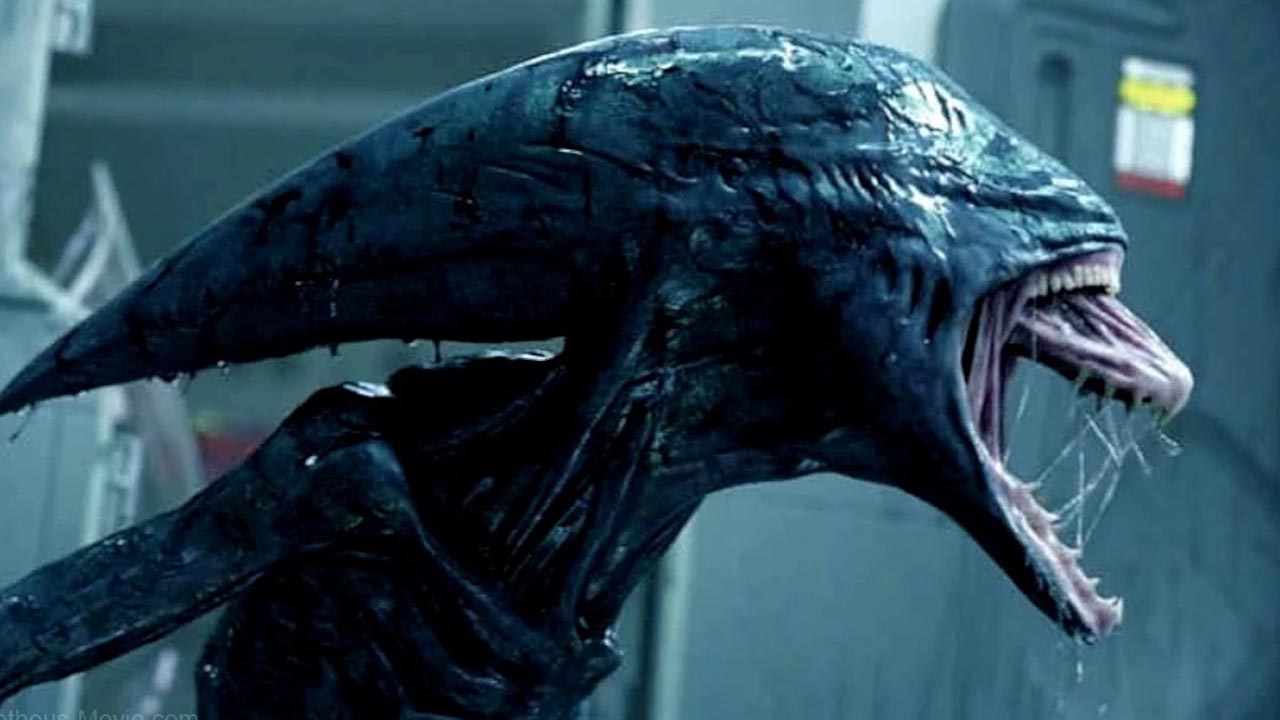 Nová záhadná krimi zničila akčňák Netflixu. Překvapením je Vetřelec a skandál topmodelek