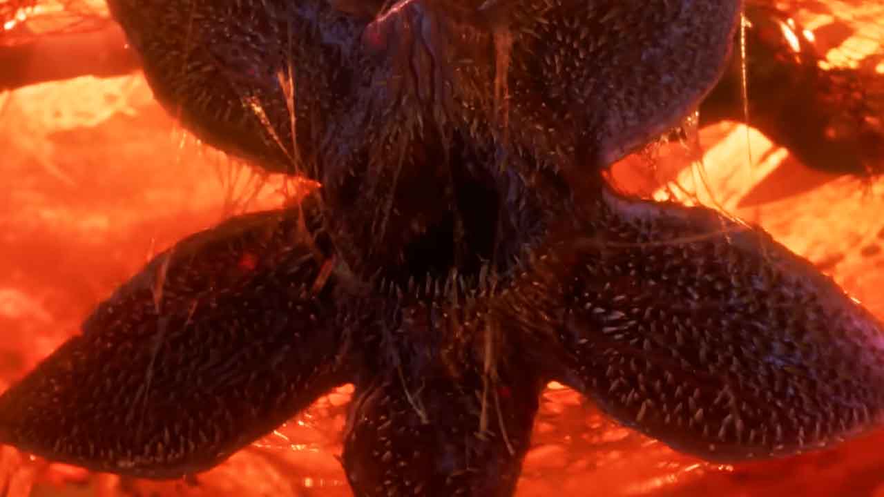 Stranger Things naposledy! Nové záběry lákají na monstra, akci a emocionální vyvrcholení
