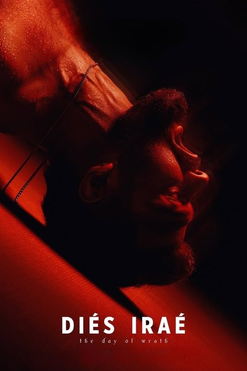 Diés Iraé - Tržby a návštěvnost