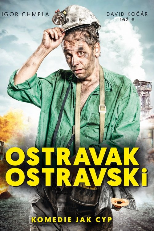 Ostravak Ostravski - Tržby a návštěvnost