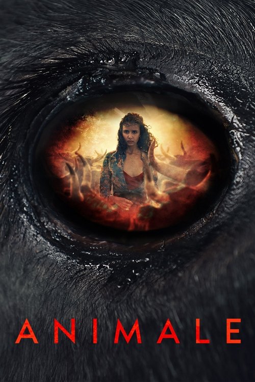 Animale - Tržby a návštěvnost