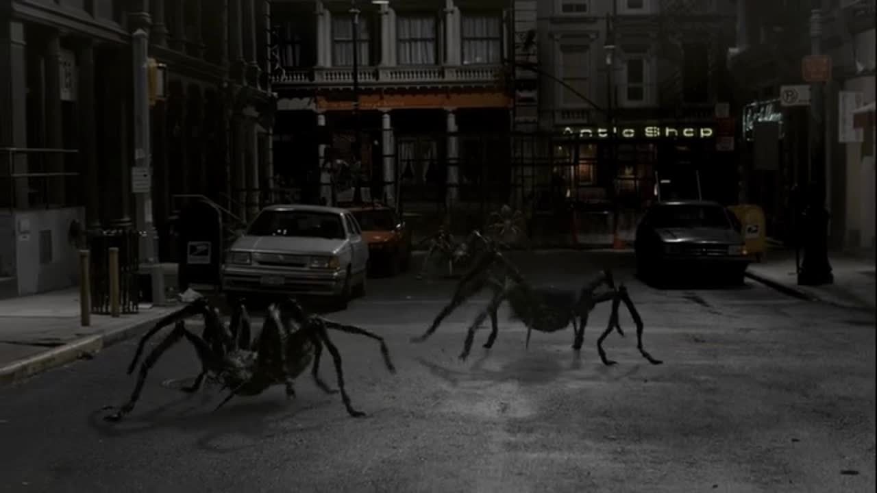 Spiders