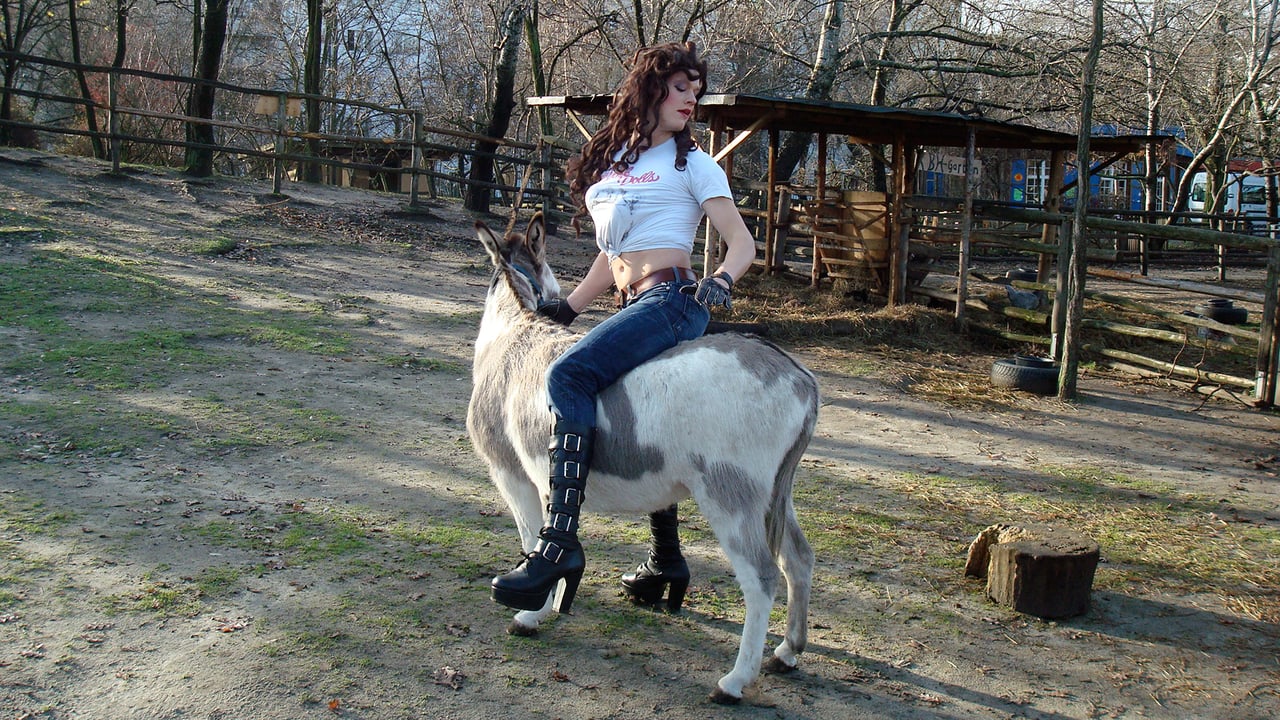 Klappe Cowboy!
