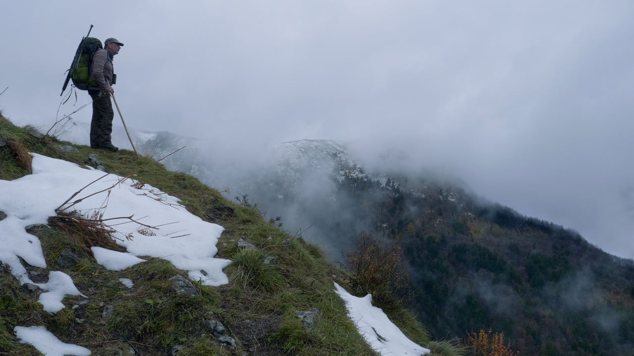 Walking with Wolves