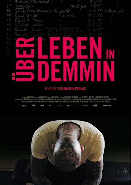 Surviving in Demmin