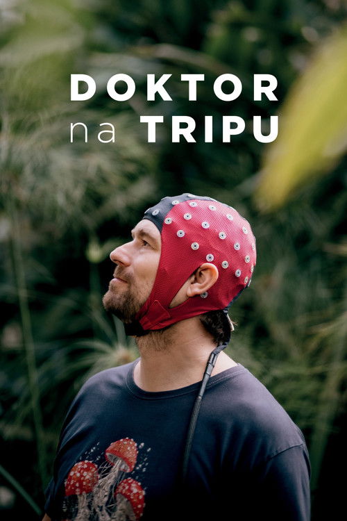 Doktor na tripu - Tržby a návštěvnost