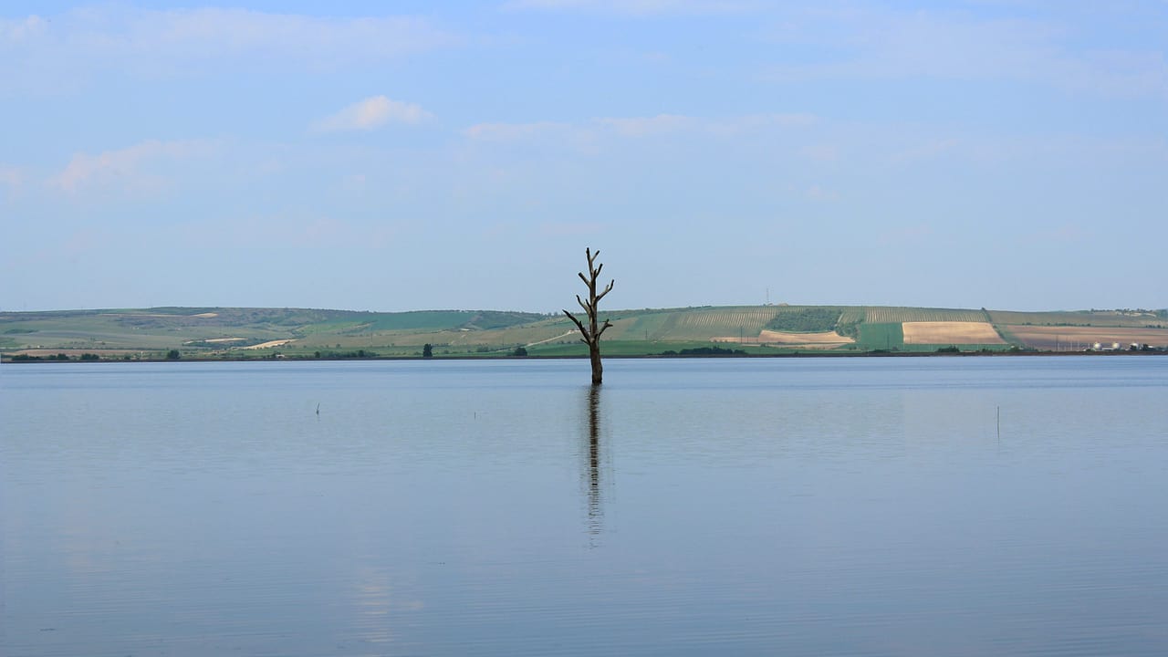Ztracený břeh