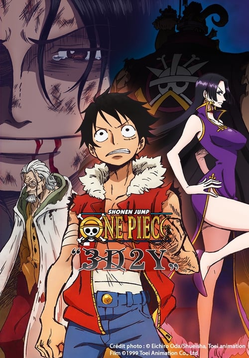 One Piece 3D2Y: Overcome Ace's Death! Luffy's Vow to his Friends