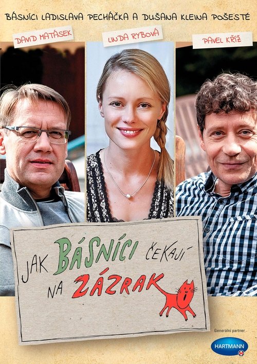 Jak básníci čekají na zázrak - Tržby a návštěvnost