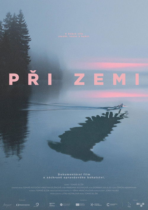 Při zemi - Tržby a návštěvnost