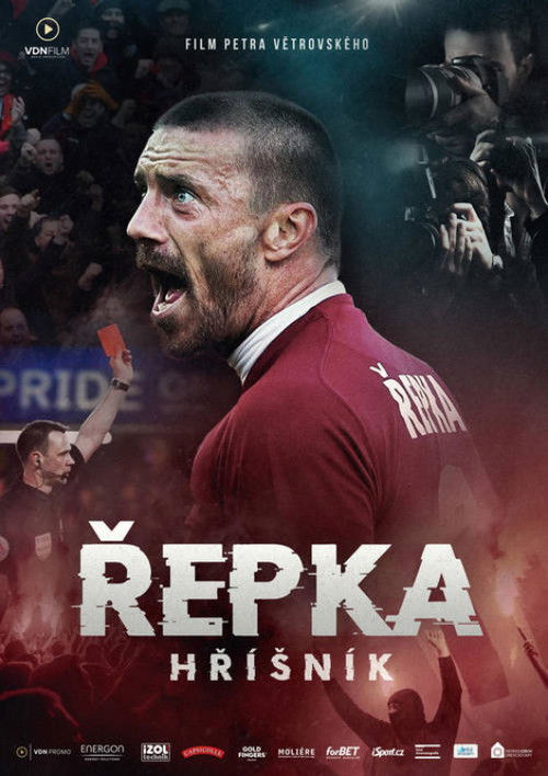 Řepka: Hříšník - Tržby a návštěvnost