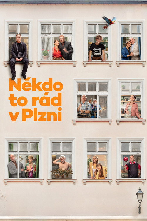 Někdo to rád v Plzni - Tržby a návštěvnost