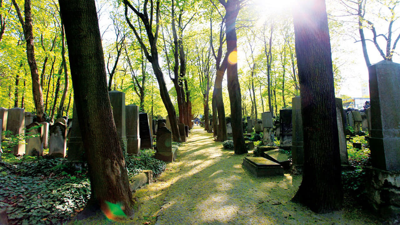 In Heaven Underground: The Weissensee Jewish Cemetery