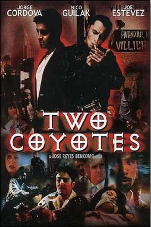 Two Coyotes