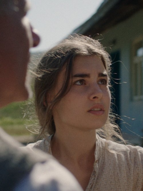 Potopa - Tržby a návštěvnost