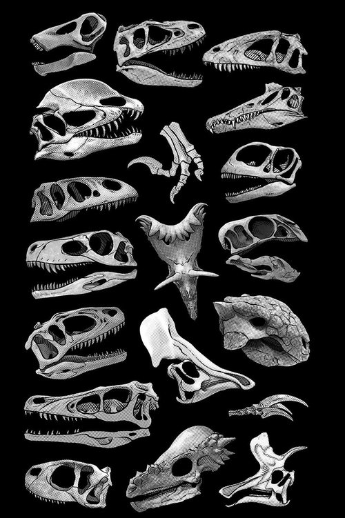 Flowervale Street - Tržby a návštěvnost