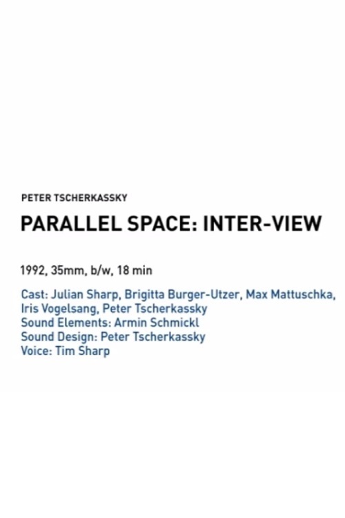 Parallel Space: Inter-View