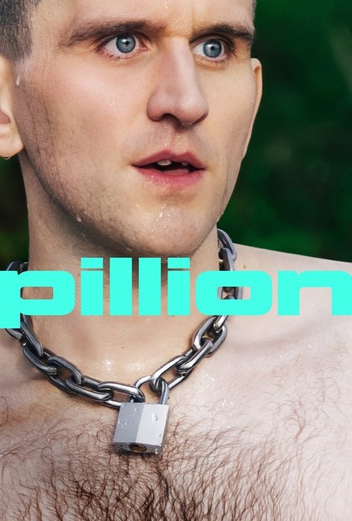 Pillion - Tržby a návštěvnost