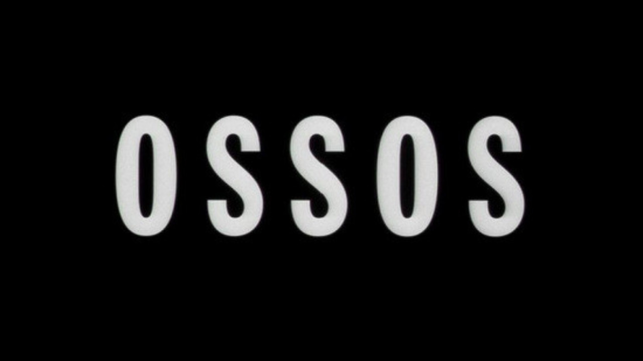 Ossos