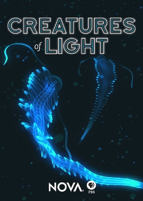 Creatures of Light