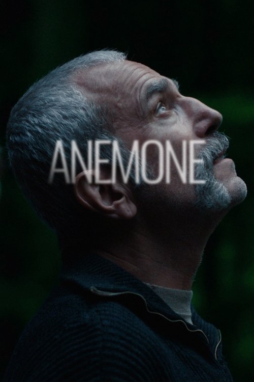 Anemone