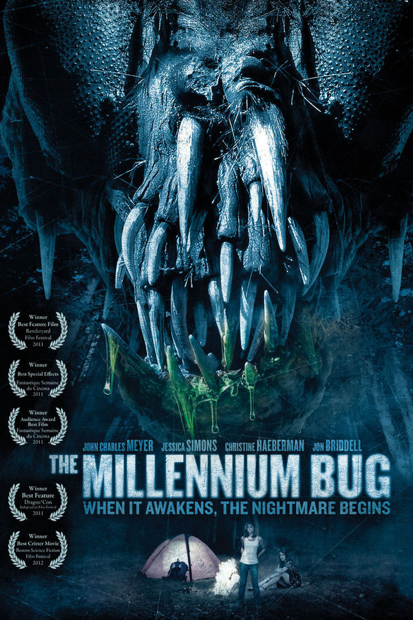 The Millennium Bug