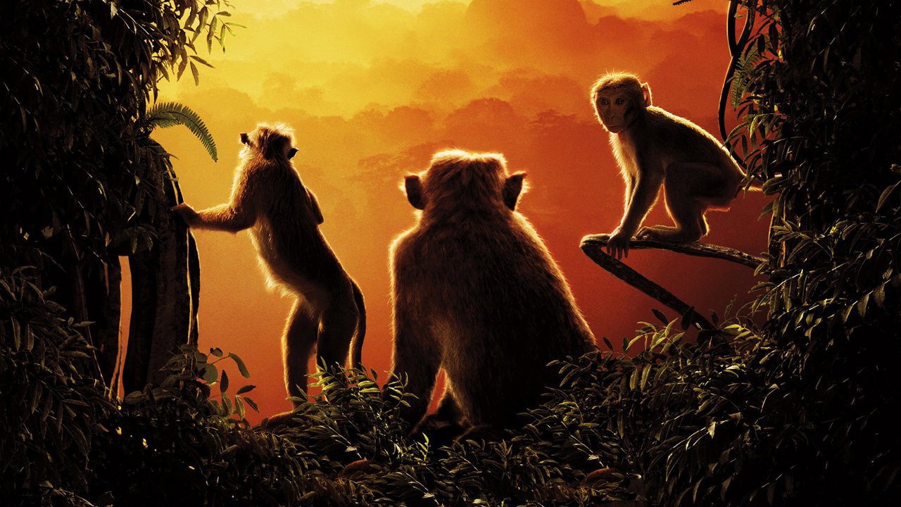 Monkey Kingdom