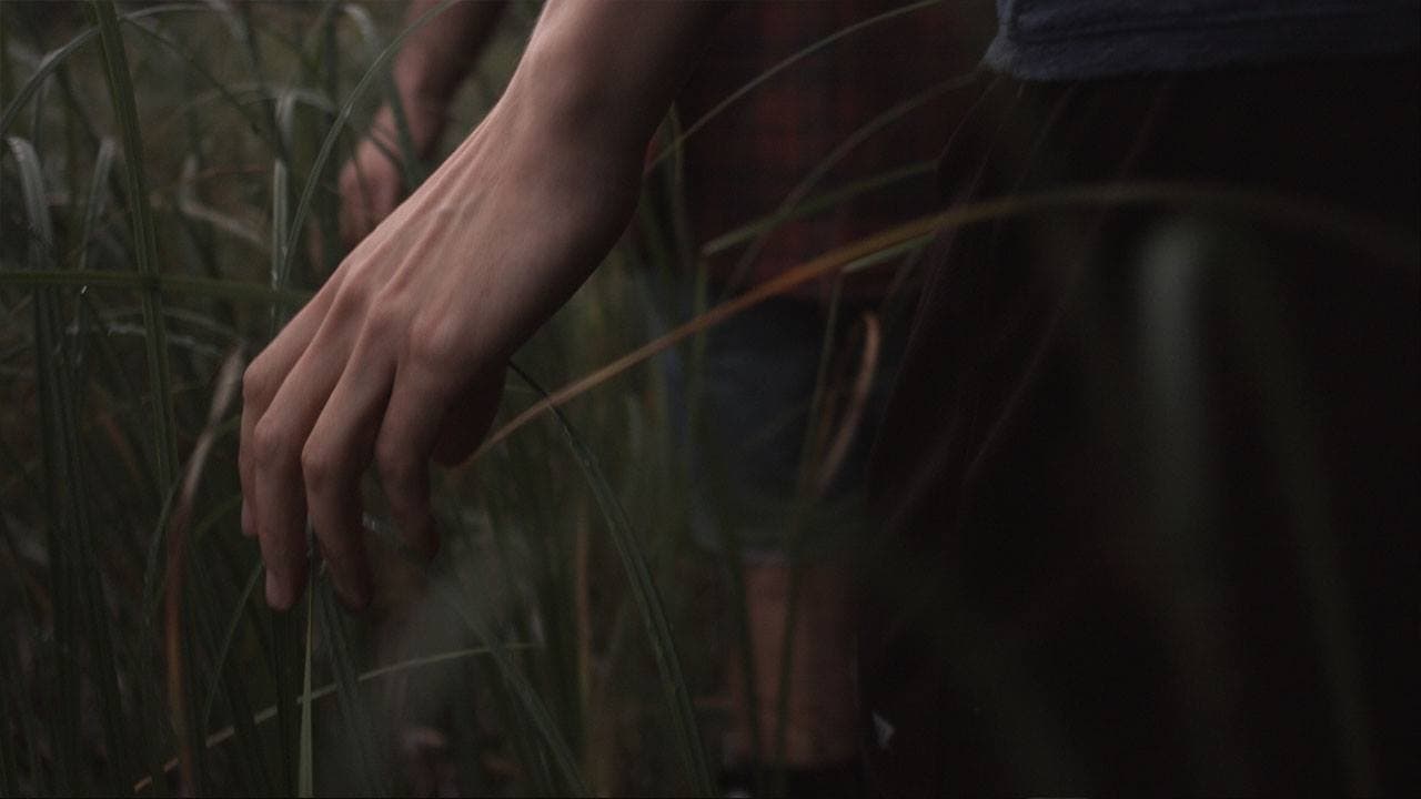 A Moment in the Reeds
