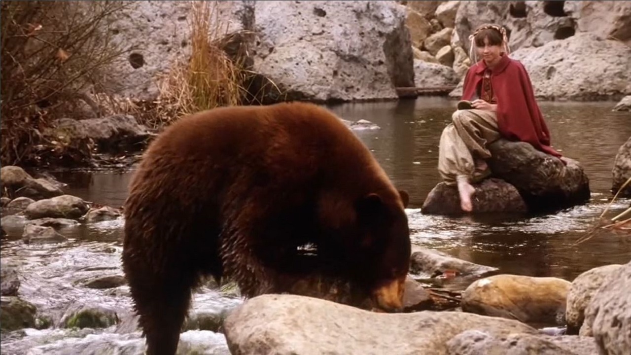 The Magic of the Golden Bear: Goldy III
