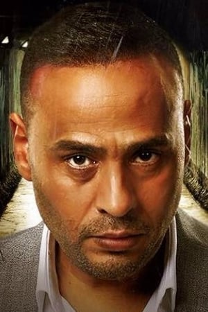 Mahmoud Abdel Moghny