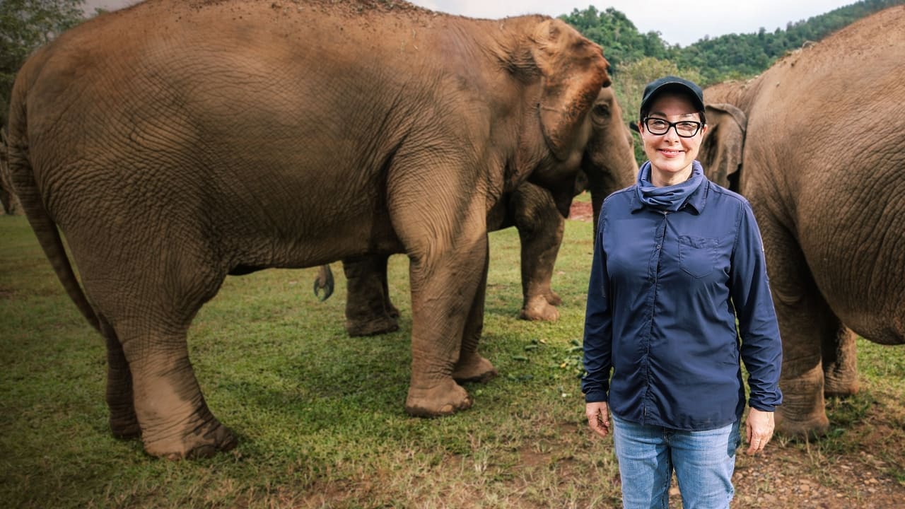 Sue Perkins: Lost in Thailand