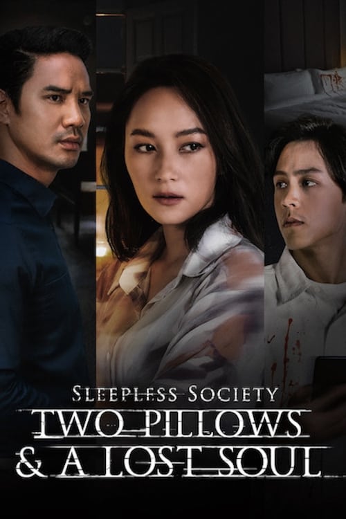 Sleepless Society: Two Pillows