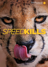 Speed Kills