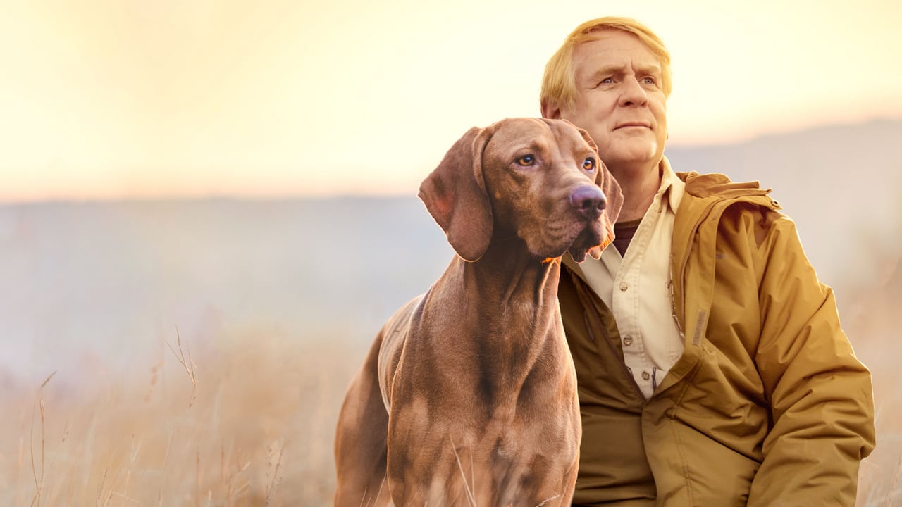 It's a Dog's Life with Bill Farmer - Tržby a návštěvnost
