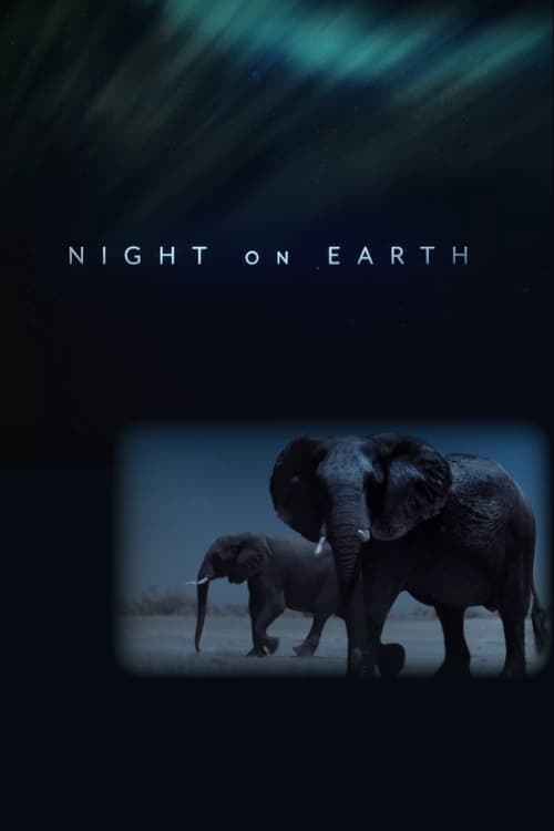 Night on Earth