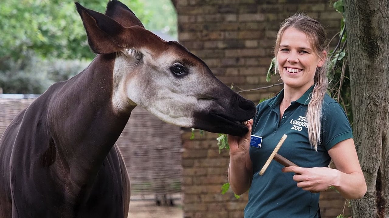 London Zoo: An Extraordinary Year