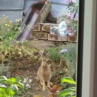  Vendula Dvořáčková