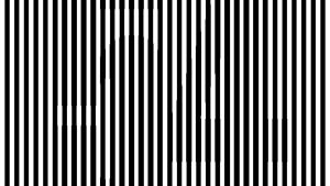 Za měsíc startuje 54. MFF v Karlových Varech. Na co se můžeme těšit?