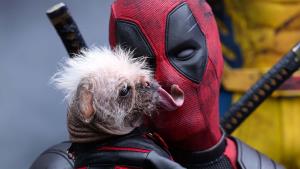 Krize zažehnána: Disneyho spasil jediný film a není to Deadpool. Disney Plus opět zdraží