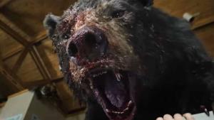 Krvavé řádění Medvěda na koksu je zklamáním. Kritici se obuli do bezradné režisérky