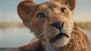 Megahit Lví král 2 konečně na Disney Plus. Dorazí po 3 měsících