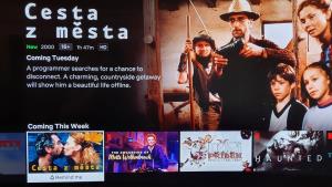 Netflix možná oznámil, kdy spustí lokalizaci, první CZ filmy dorazí v úterý