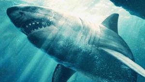 Žraloci v letadle! Nový trailer slibuje klaustrofobní hororovou podívanou s ostrými zuby