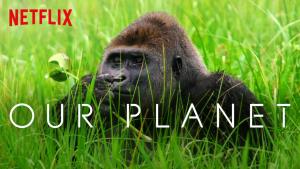 Netflix nabídne dokument Our Planet, který míří na laťku Zázračné/Modré planety
