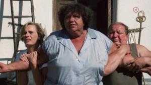 Na Netflix míří další české filmy. Trhákem bude Troškovo Slunce, seno