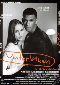 Vinterviken