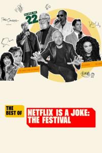 The Best of Netflix Is a Joke: The Festival plakát