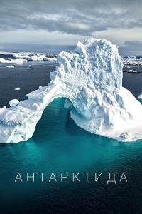 Antarctica plakát
