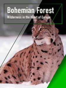 Böhmerwald - Wildnis im Herzen Europas plakát
