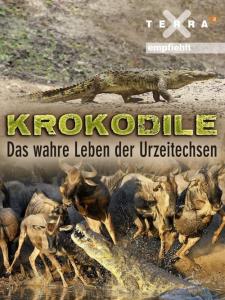 Krokodýli: Starostliví zabijáci